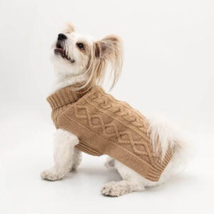 Koiran neule palmikko beige, XS-L - Oliver`s Lifestyle