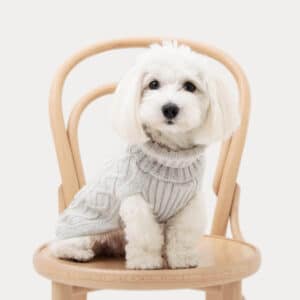 Koiran neule palmikko harmaa, XS-L - Oliver`s Lifestyle - L