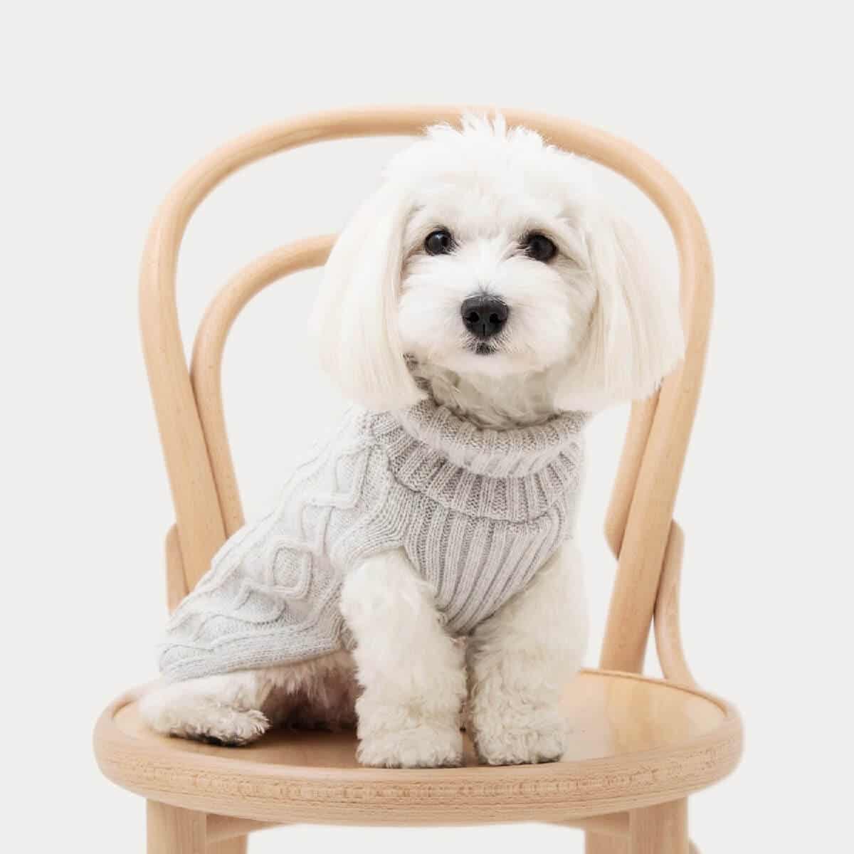 Koiran neule palmikko harmaa, XS-L - Oliver`s Lifestyle