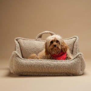Koiranpeti Pet Club Chair Biscuit Wigiwama